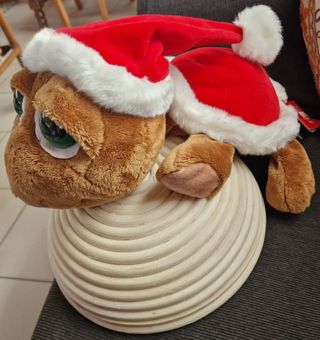 Peluche Tartaruga 