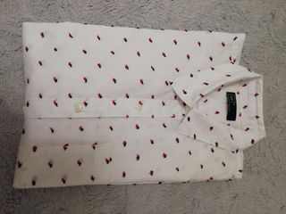 Camisa Gap 
