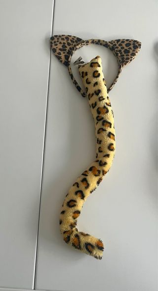 Accesorios guepardo