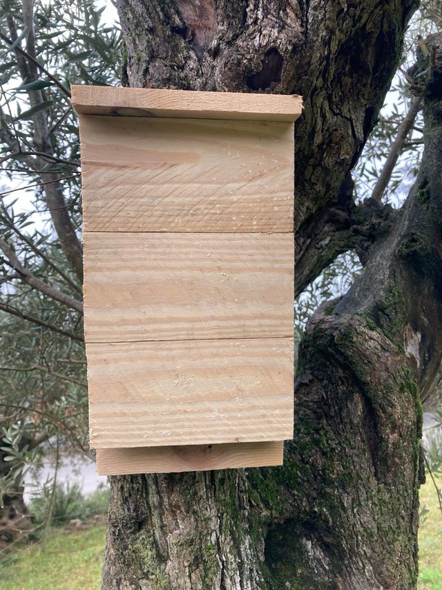 Caja Nido Murciélagos