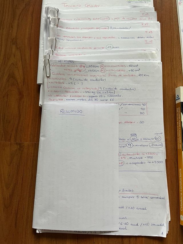 Celador/aConductor/a del Sas Mad