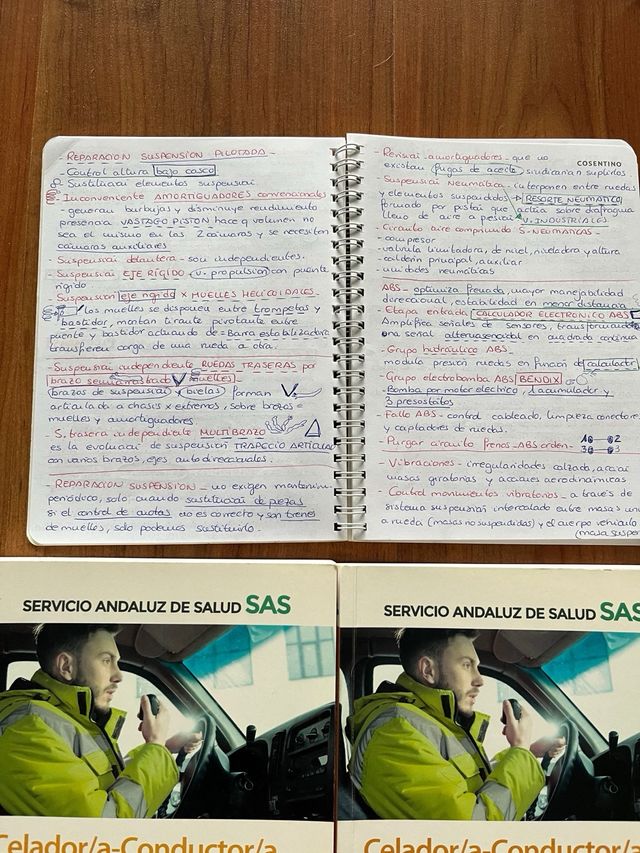 Celador/aConductor/a del Sas Mad