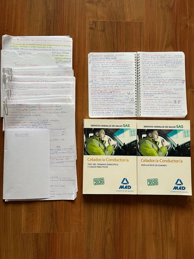 Celador/aConductor/a del Sas Mad