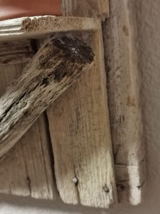 DECORAC.RUSTICA. ANTIGUA VENTANA RELOJ S.XVIII-XIX