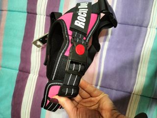 Peitoral para cadela