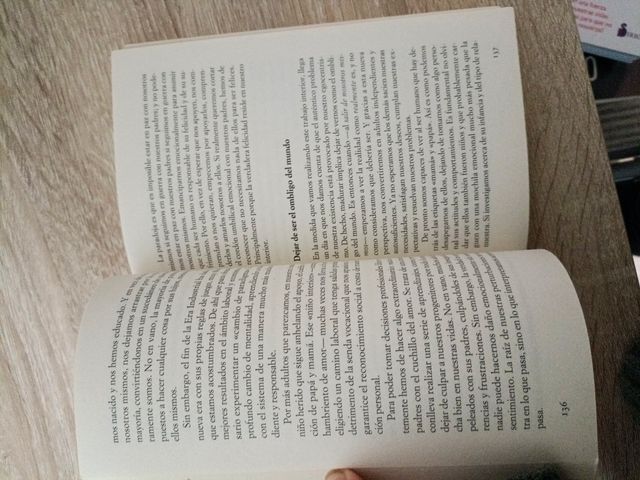 Qué harías si no tuvieras miedo / What Would You Do If You Weren't Afraid (Spanish Edition)