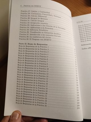 Prácticas de Matemáticas de Bachillerato con DERIVE para Windows. (Spanish Edition)