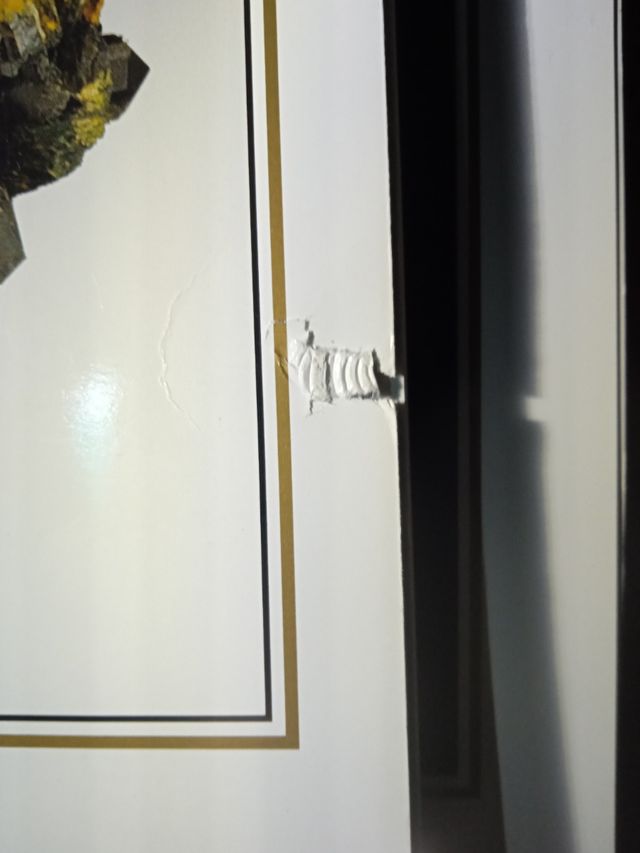 THE MINERALOGICAL RECORD 