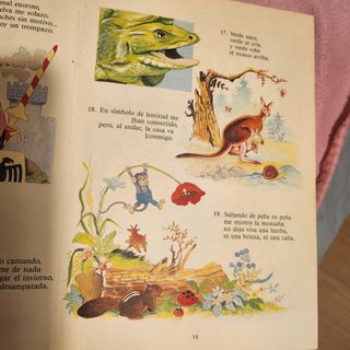 Adivina, adivinanza (Spanish Edition)
