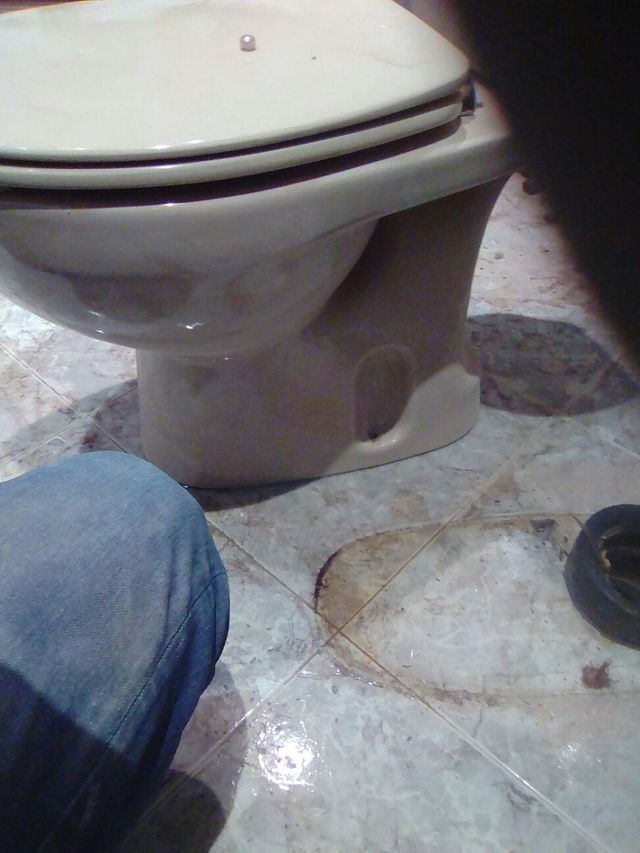 Reformas económicas y de calidad