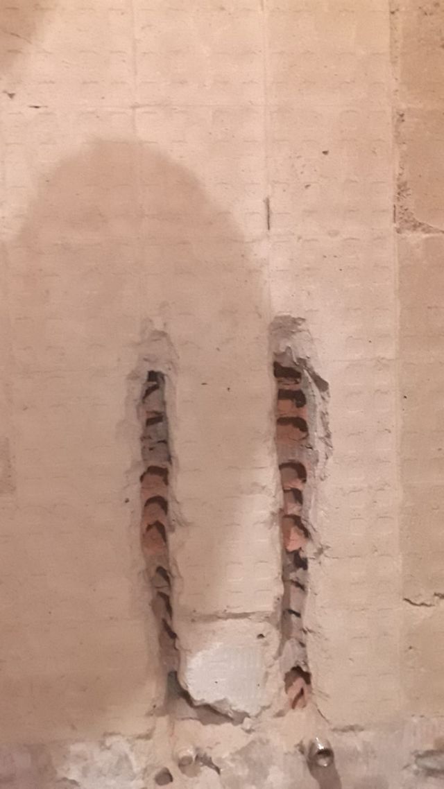 Reformas económicas y de calidad