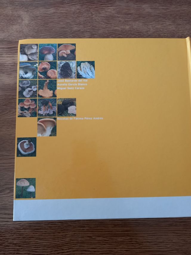 Setas de Castilla y León