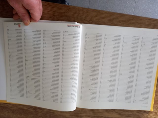 Setas de Castilla y León