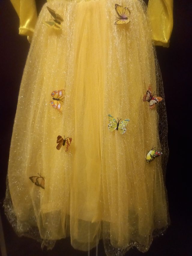 Vestido de princesa con mariposas