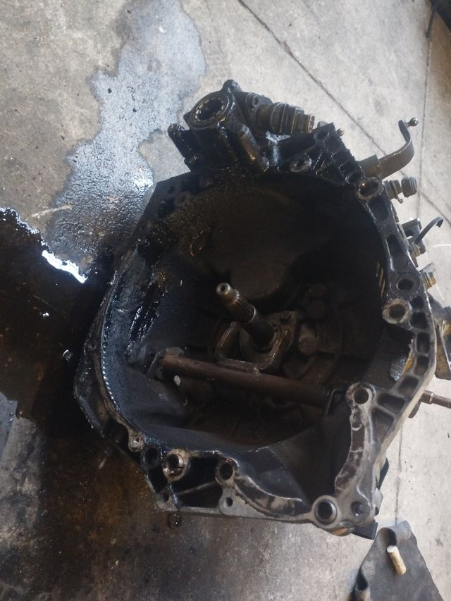 Caja de cambios Citroen Peugeot 1.9