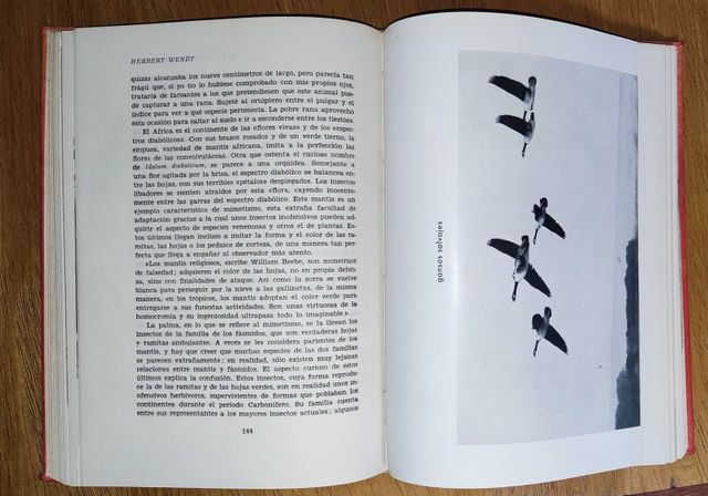 LOS ANIMALES NOS HABLAN - HERBERT WENDT