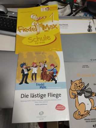 Lote viola iniciación