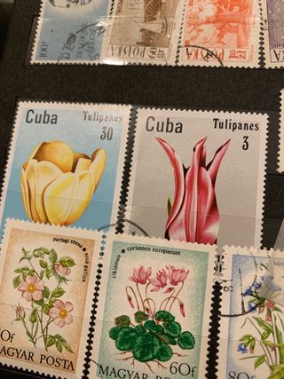Lotto francobolli del modo