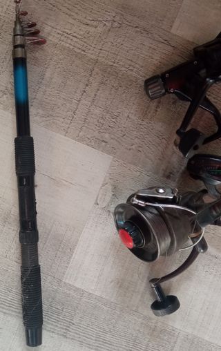 Cañas y Carretes de pesca c