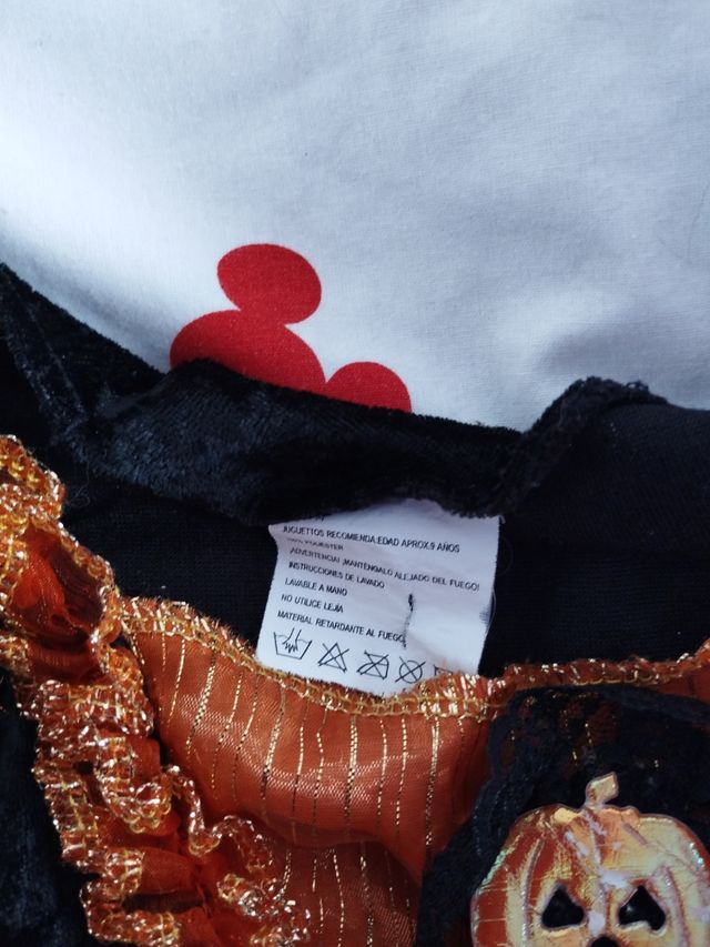 Disfraz princesa calabaza