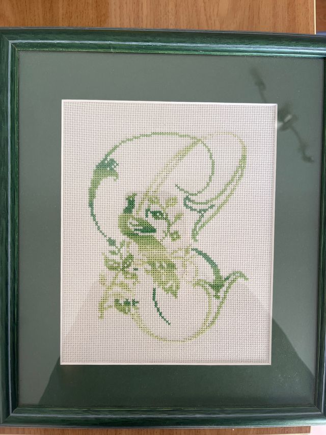 Cuadro inicial C a punto de Cruz