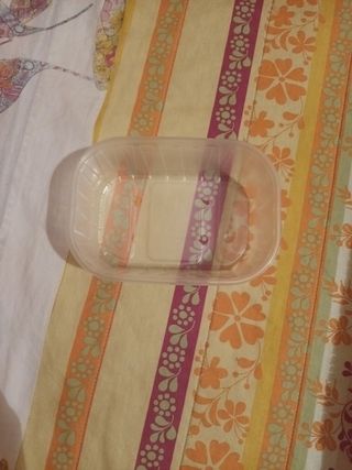 Vaschette trasparenti plastica 
