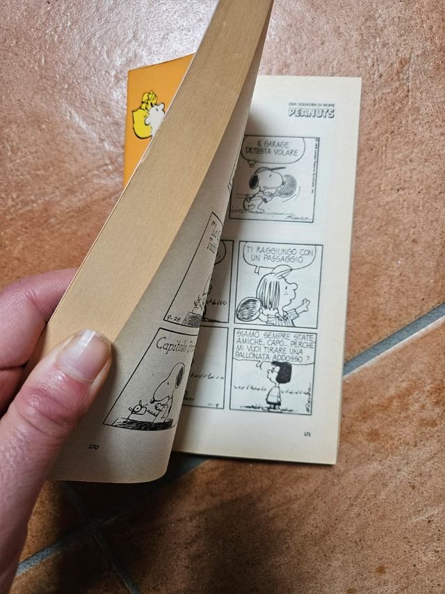 Una scuadra di nome peanuts