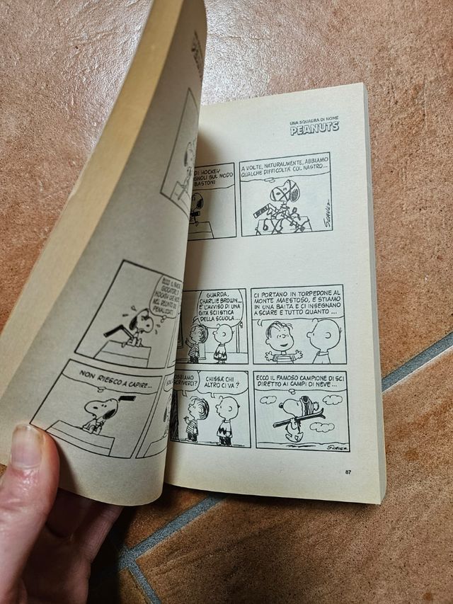 Una scuadra di nome peanuts