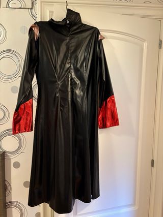 Disfraz de castigadora