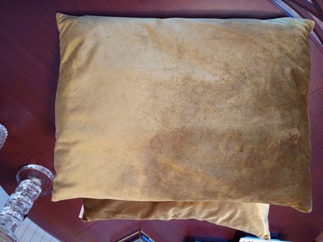 Pareja de cojines terciopelo dorado