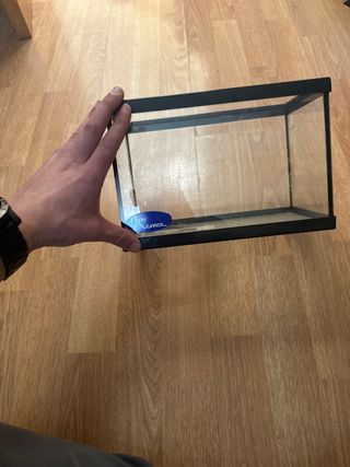 Acuario beta