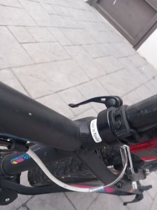 Bicicleta Orbea MX24 DIRT