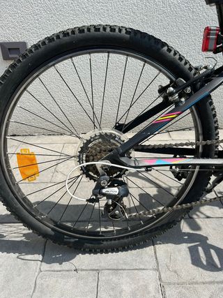 Bicicleta Orbea MX24 DIRT