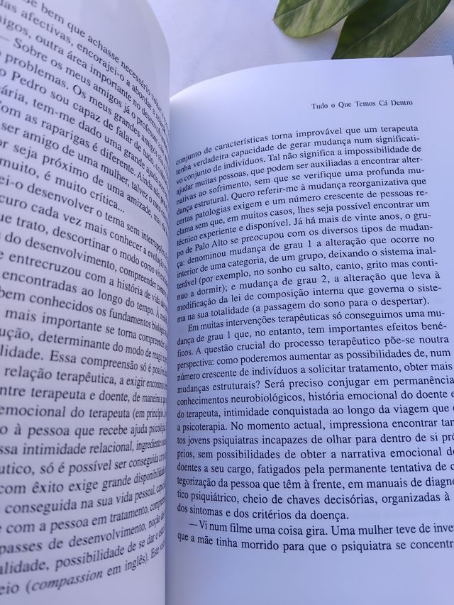 Tudo o Que Temos Cá Dentro Daniel Sampaio