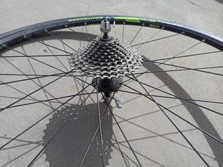 Rodillo Elite Novo Force Elastogel