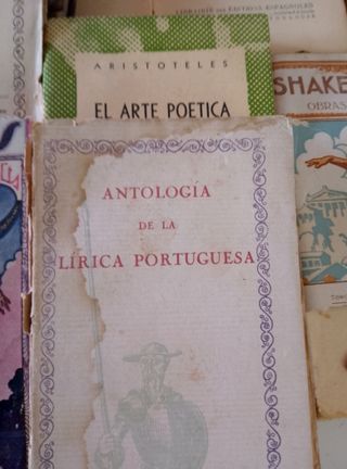 POESÍA lote libros POESIAS