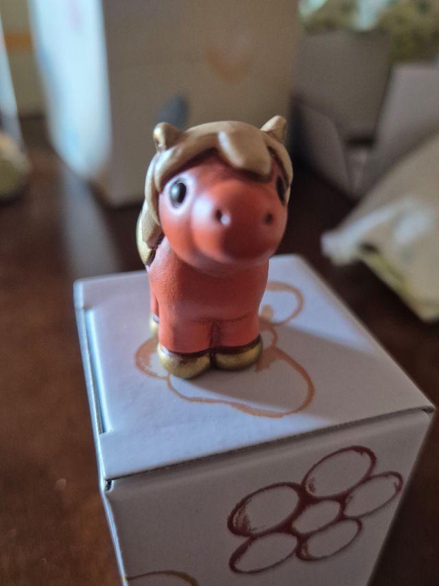 Thun mi cavallo amici di Lene 