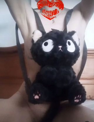 Mochila gato
