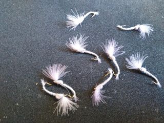 VARIOS MODELOS MOSCAS PETITJEAN