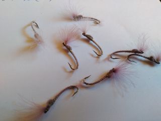 VARIOS MODELOS MOSCAS PETITJEAN
