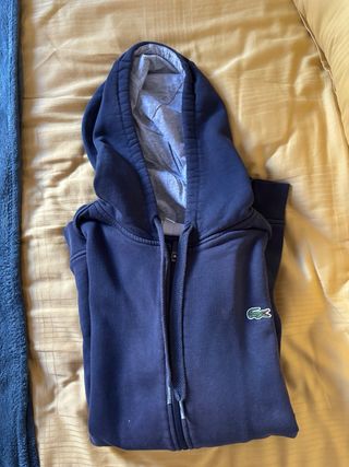 Sudadera lacoste
