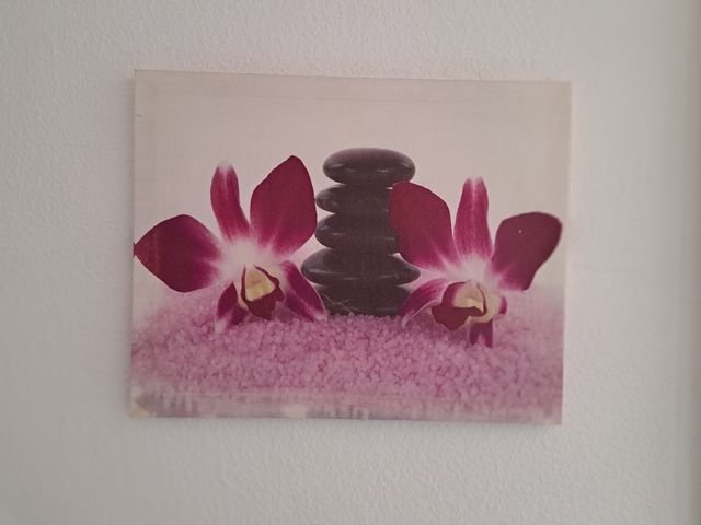 Cuadro flores y piedras