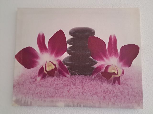 Cuadro flores y piedras