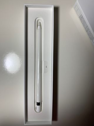 Apple Pencil 1ª generación