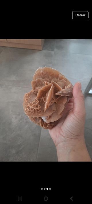 Rosa del desierto grande