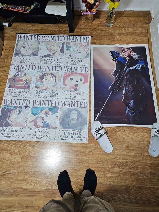 Lote de 5 posters de tela de anime