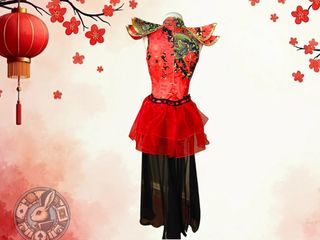 Vestido Estilo Chino  (XS-S) y Peluca Profesional