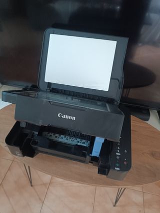 Ordenador Philips y impresora Pixma