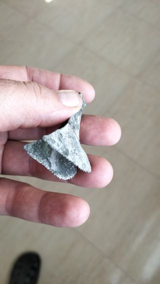Pinza romana