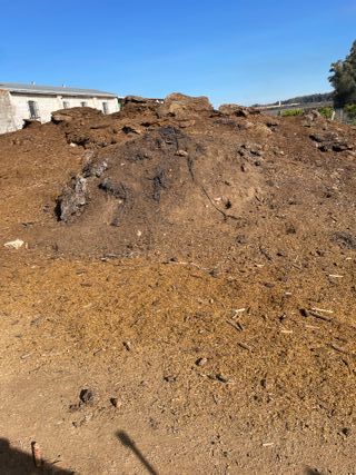 Estiércol de Ovejas